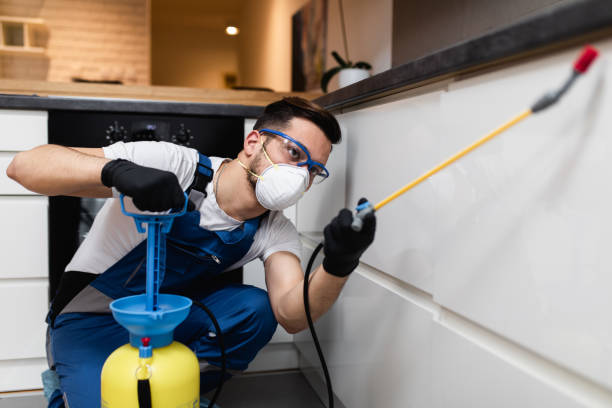 Best Wildlife Control Services  in Manchester, MD