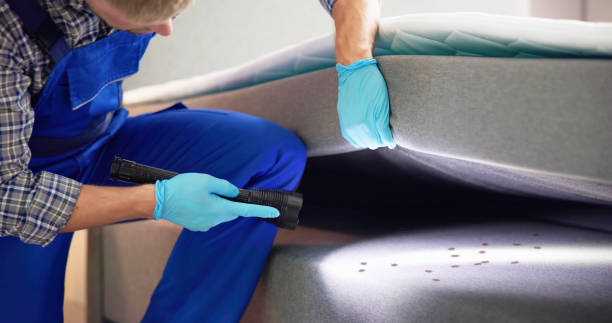 Best Pest Inspection Near Me  in Manchester, MD